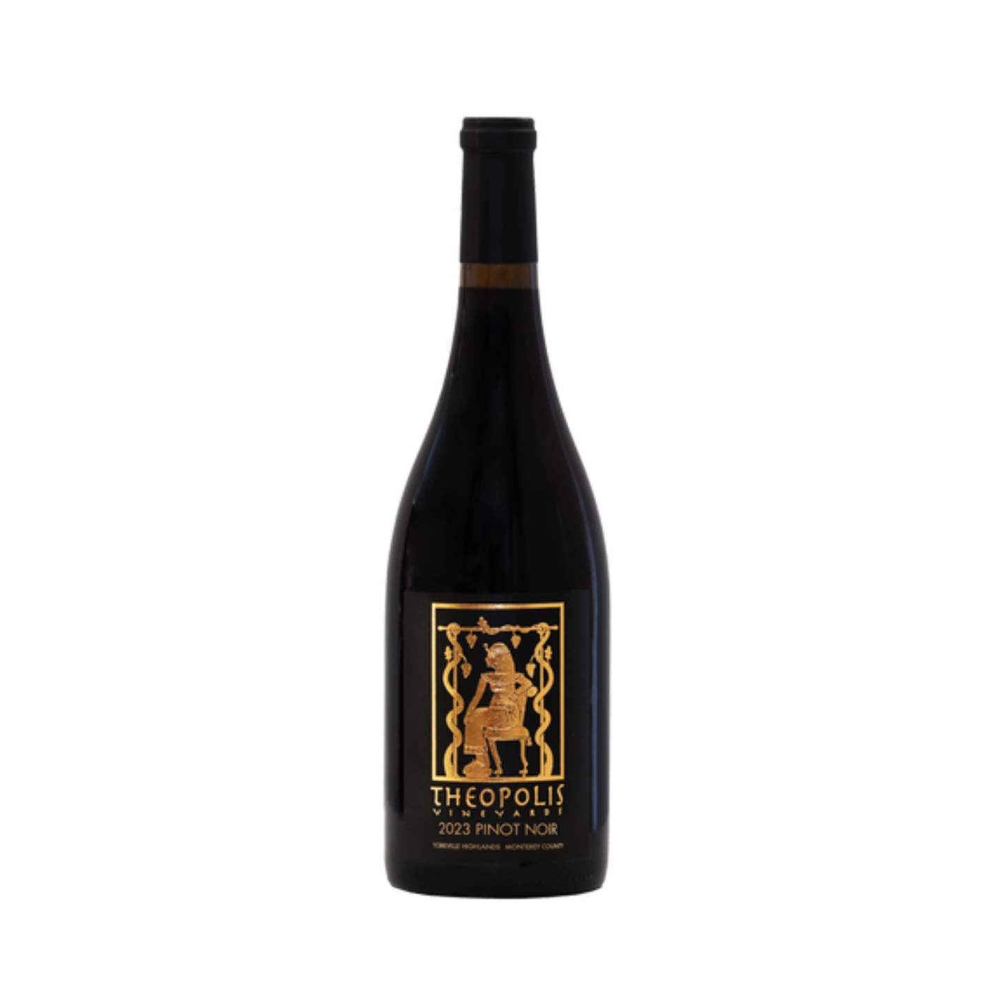 Theopolis | 2023 Pinot Noir